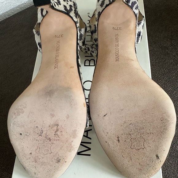 MANOLO BLAHNIK ANIMAL - Picture 5 of 6